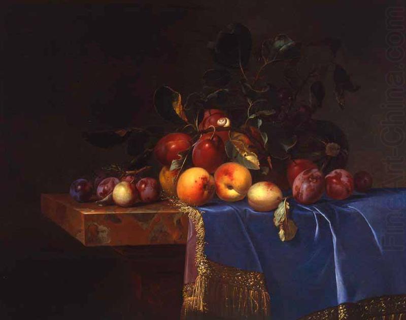 Willem van Fruit Still Life with a Snail china oil painting image
